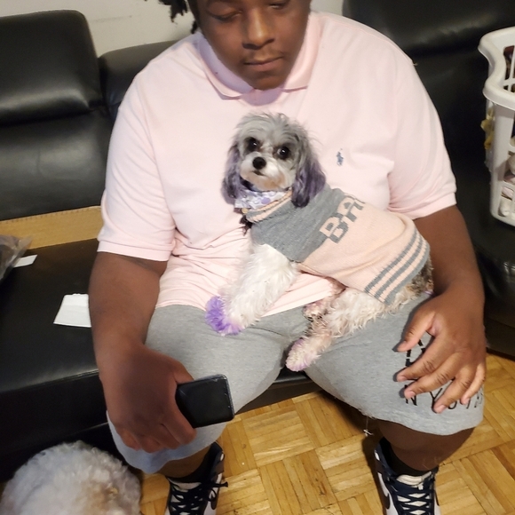 Ellen Degeneres Puppy 🐶 Dress with Ruffle pleated hem pink colar.. X small - Picture 14 of 14